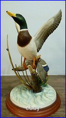 Border fine arts Mallards, A1391 signed RR, (Richard Roberts) 2001, 29cm 11.41