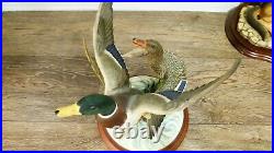 Border fine arts Mallards, A1391 signed RR, (Richard Roberts) 2001, 29cm 11.41