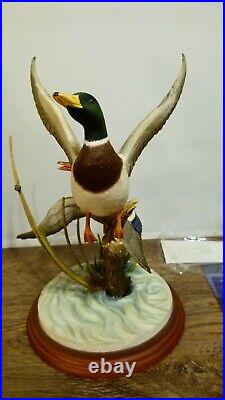 Border fine arts Mallards, A1391 signed RR, (Richard Roberts) 2001, 29cm 11.41