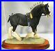Border-fine-arts-OOAK-Horse-in-a-Black-colour-Victory-at-the-Highland-L149-01-mg