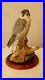 Border-fine-arts-Peregrine-Falcon-A1474-Russell-Willis-16cm-6-29-tall-01-dp