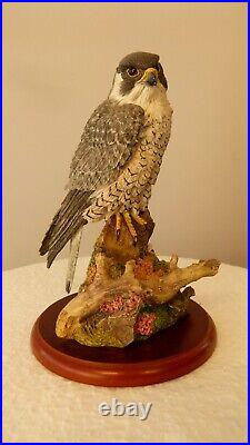 Border fine arts Peregrine Falcon, A1474 Russell Willis 16cm, (6.29) tall