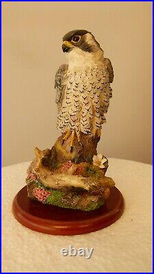 Border fine arts Peregrine Falcon, A1474 Russell Willis 16cm, (6.29) tall