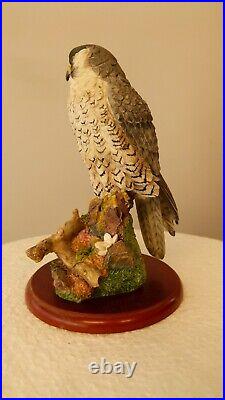 Border fine arts Peregrine Falcon, A1474 Russell Willis 16cm, (6.29) tall