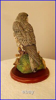 Border fine arts Peregrine Falcon, A1474 Russell Willis 16cm, (6.29) tall