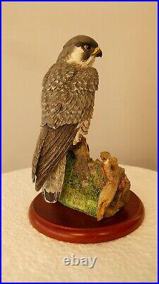 Border fine arts Peregrine Falcon, A1474 Russell Willis 16cm, (6.29) tall