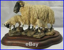 Border fine arts Rare Blackfaced Ewe and Lambs Mairi Laing Hunt Model L25