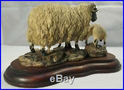 Border fine arts Rare Blackfaced Ewe and Lambs Mairi Laing Hunt Model L25