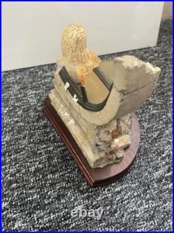 Border fine arts Society Collectors Owls. Ray Ayres. Silent Sanctuary