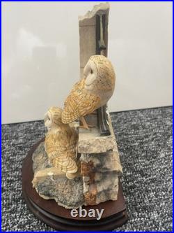 Border fine arts Society Collectors Owls. Ray Ayres. Silent Sanctuary