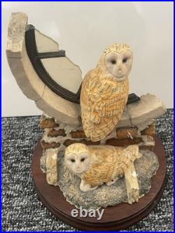 Border fine arts Society Collectors Owls. Ray Ayres. Silent Sanctuary