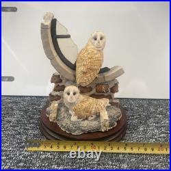 Border fine arts Society Collectors Owls. Ray Ayres. Silent Sanctuary