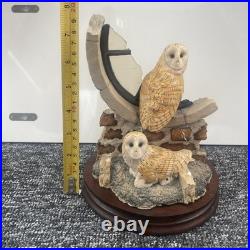 Border fine arts Society Collectors Owls. Ray Ayres. Silent Sanctuary