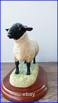 Border fine arts Suffolk Tup, B0196, by Anne Wall, 1997