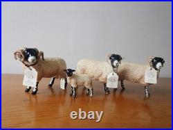 Border fine arts Swaledale sheep tup ewe lamb. 2004. Boxed