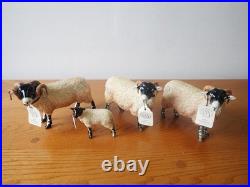 Border fine arts Swaledale sheep tup ewe lamb. 2004. Boxed