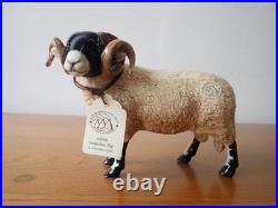 Border fine arts Swaledale sheep tup ewe lamb. 2004. Boxed