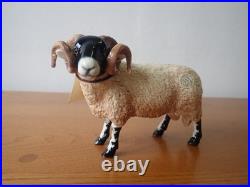 Border fine arts Swaledale sheep tup ewe lamb. 2004. Boxed