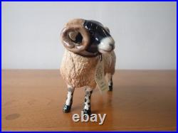 Border fine arts Swaledale sheep tup ewe lamb. 2004. Boxed