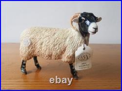 Border fine arts Swaledale sheep tup ewe lamb. 2004. Boxed