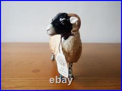 Border fine arts Swaledale sheep tup ewe lamb. 2004. Boxed