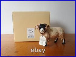 Border fine arts Swaledale sheep tup ewe lamb. 2004. Boxed