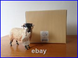 Border fine arts Swaledale sheep tup ewe lamb. 2004. Boxed