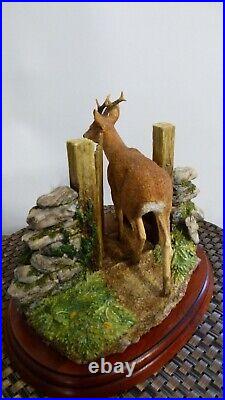 Border fine arts Unwelcome Guest, Deer, A1873, 2003, By JGB (John Brown)