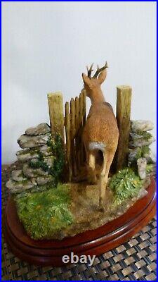 Border fine arts Unwelcome Guest, Deer, A1873, 2003, By JGB (John Brown)