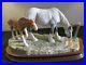 Border-fine-arts-Very-Rare-Horse-Gently-Grazing-By-Ray-Ayres-LTD-EDT-Of-350-01-wlaq