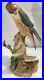 Border-fine-arts-Very-Rare-USA-version-Bird-Kestrel-and-Mouse-L600-Hayton-01-yla