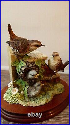 Border fine arts Wren and chicks B0346, Ltd 15/1250, signed JGB, boxed, 1998