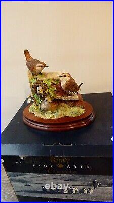 Border fine arts Wren and chicks B0346, Ltd 15/1250, signed JGB, boxed, 1998