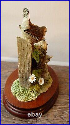 Border fine arts Wren and chicks B0346, Ltd 15/1250, signed JGB, boxed, 1998