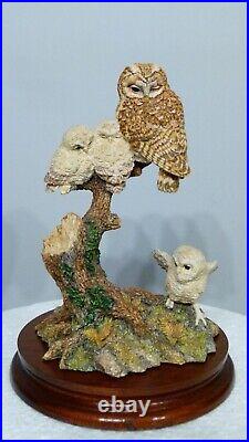 Border fine arts a watchful Eye, Owl & Owlets SOC8 signed in pen by Ray Ayres