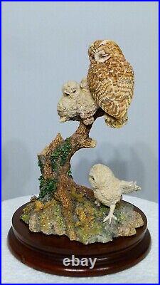 Border fine arts a watchful Eye, Owl & Owlets SOC8 signed in pen by Ray Ayres