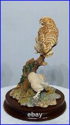 Border fine arts a watchful Eye, Owl & Owlets SOC8 signed in pen by Ray Ayres