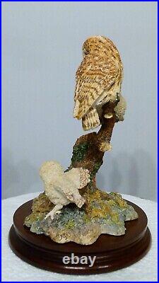 Border fine arts a watchful Eye, Owl & Owlets SOC8 signed in pen by Ray Ayres