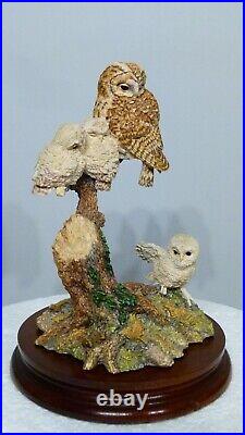 Border fine arts a watchful Eye, Owl & Owlets SOC8 signed in pen by Ray Ayres