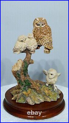 Border fine arts a watchful Eye, Owl & Owlets SOC8 signed in pen by Ray Ayres