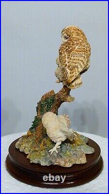 Border fine arts a watchful Eye, Owl & Owlets SOC8 signed in pen by Ray Ayres