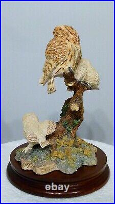 Border fine arts a watchful Eye, Owl & Owlets SOC8 signed in pen by Ray Ayres