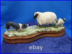 Border fine arts, black faced sheep and collie, 104, 1982