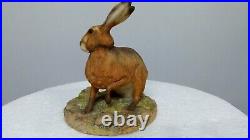 Border fine arts hare, 002, Ray Ayres, 1978-82, Free Delivery