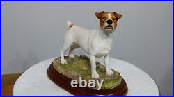 Border fine arts jack Russell, brown and white, A3037, Margaret Turner, Free Del