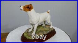 Border fine arts jack Russell, brown and white, A3037, Margaret Turner, Free Del