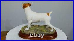 Border fine arts jack Russell, brown and white, A3037, Margaret Turner, Free Del