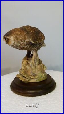Border fine arts owl by Anne Wall, 16cm, (6.29) tall Border fine arts owl by Anne Wall, 16cm, (6.29) tall