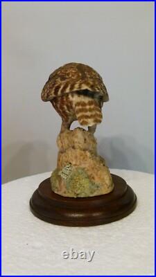 Border fine arts owl by Anne Wall, 16cm, (6.29) tall Border fine arts owl by Anne Wall, 16cm, (6.29) tall