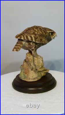 Border fine arts owl by Anne Wall, 16cm, (6.29) tall Border fine arts owl by Anne Wall, 16cm, (6.29) tall